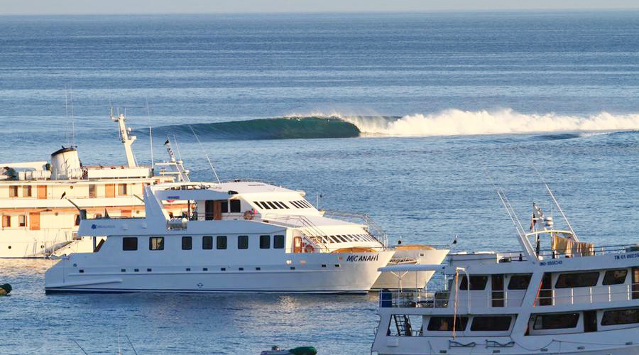 GALÁPAGOS – HOSTAL TONGO REEF