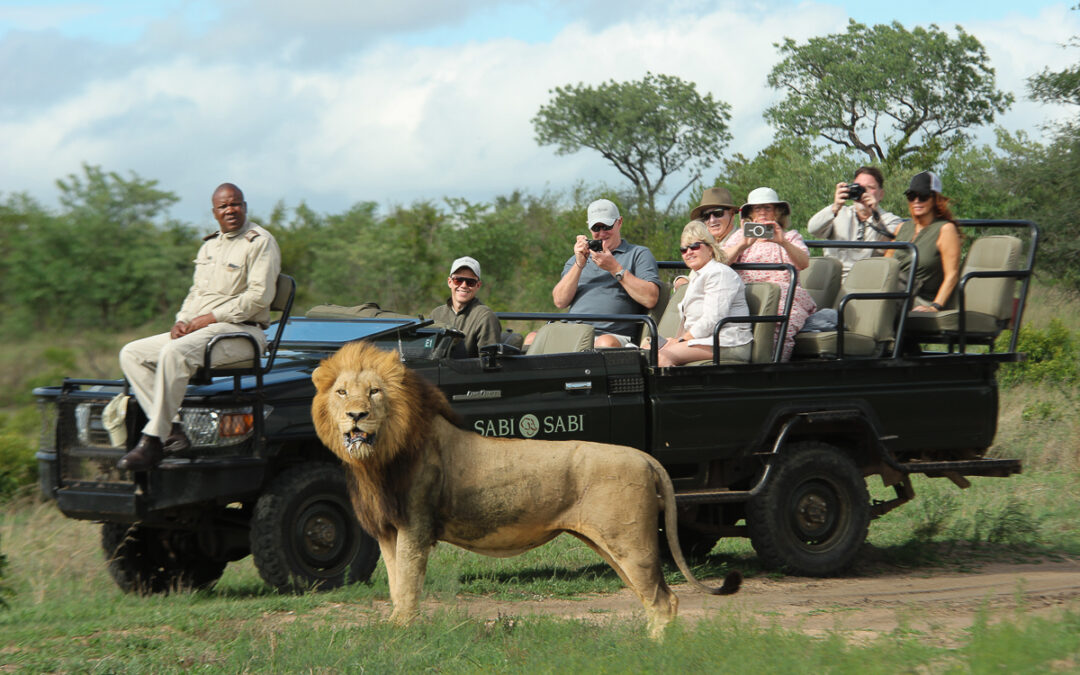 CAPE TOWN E SAFARI – RESERVA PRIVADA SABI SABI